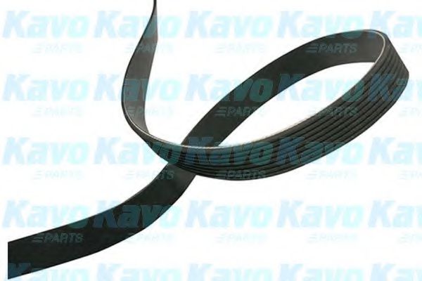 DMV-4540 KAVO+PARTS Belt Drive V-Ribbed Belts