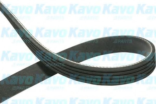 DMV-5522 KAVO+PARTS Belt Drive V-Ribbed Belts
