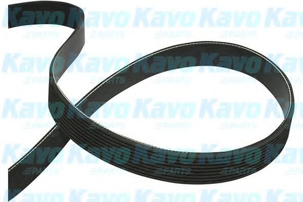 DMV-9114 KAVO+PARTS V-Ribbed Belts