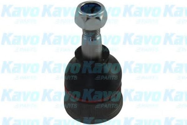 SBJ-4536 KAVO+PARTS Wheel Suspension Ball Joint