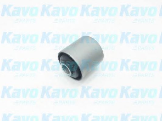 SCR-6548 KAVO+PARTS Holder, control arm mounting