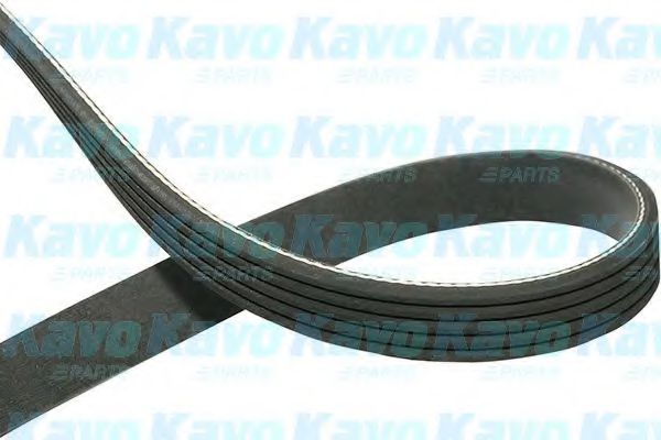 DMV-4551 KAVO+PARTS Belt Drive V-Ribbed Belts