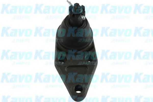 SBJ-5528 KAVO+PARTS Ball Joint
