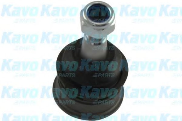 SBJ-6560 KAVO+PARTS Wheel Suspension Ball Joint