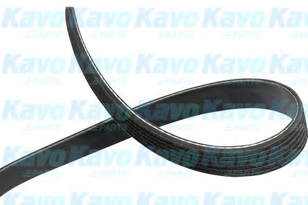 DMV-1539 KAVO+PARTS Belt Drive V-Ribbed Belts