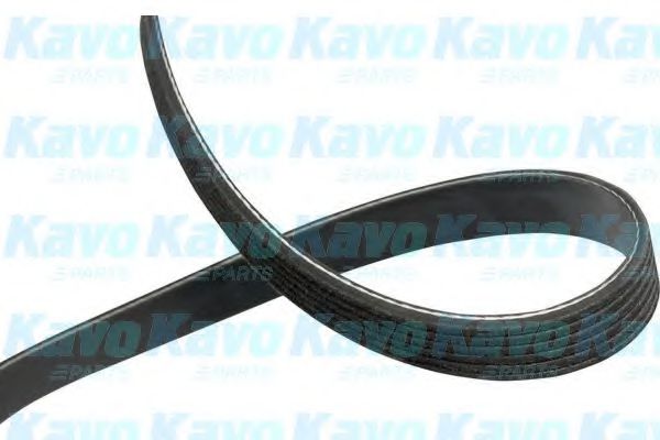 DMV-4550 KAVO+PARTS Belt Drive V-Ribbed Belts