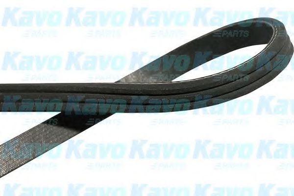 DMV-6549 KAVO+PARTS Belt Drive V-Ribbed Belts