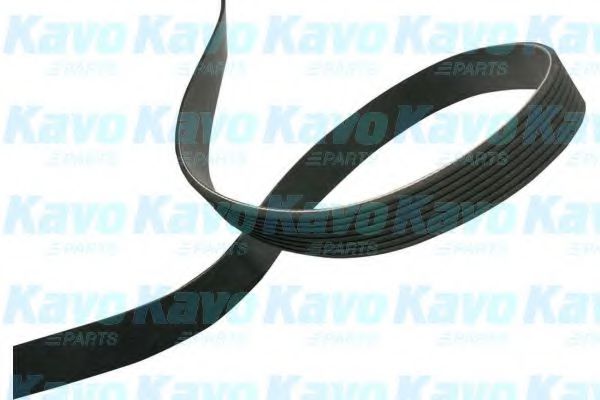 DMV-9120 KAVO+PARTS V-Ribbed Belts