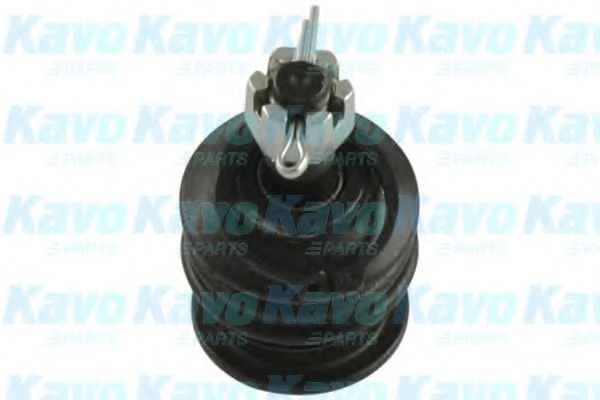 SBJ-9065 KAVO+PARTS Wheel Suspension Ball Joint