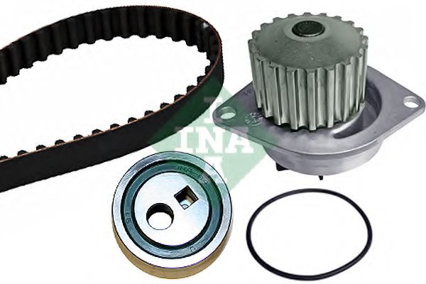 530 0252 30 INA Cooling System Water Pump & Timing Belt Kit