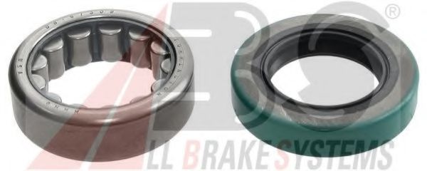 200959 ABS Wheel Bearing Kit