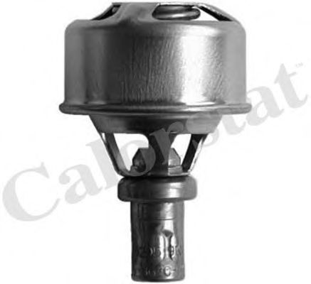 TH4495.89 CALORSTAT+BY+VERNET Thermostat, coolant