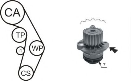 WPK-177402 AIRTEX Kühlung Wasserpumpe + Zahnriemensatz