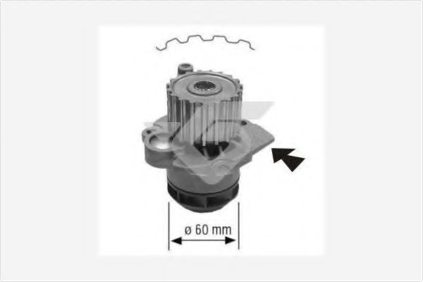 HUTCHINSON WP58