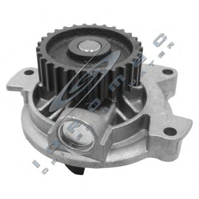 330544 CAR Cooling System Water Pump
