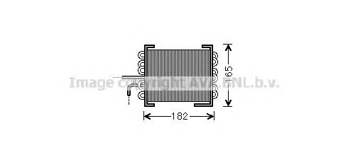 MS2480 AVA+QUALITY+COOLING Fuel radiator