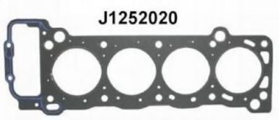 J1252020 NIPPARTS Gasket, cylinder head