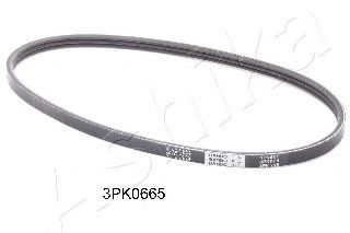 112-3PK665 ASHIKA V-Ribbed Belts