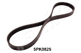 112-5PK0825 ASHIKA V-Ribbed Belts