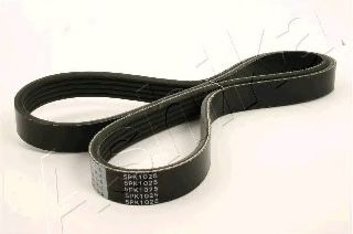 112-5PK1025 ASHIKA V-Ribbed Belts