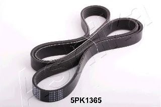 112-5PK1365 ASHIKA V-Ribbed Belts