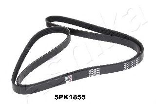 112-5PK1855 ASHIKA V-Ribbed Belts