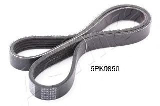 112-5PK850 ASHIKA V-Ribbed Belts