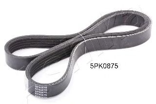 112-5PK875 ASHIKA V-Ribbed Belts