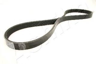 112-5PK885 ASHIKA V-Ribbed Belts