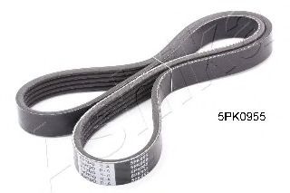 112-5PK955 ASHIKA V-Ribbed Belts