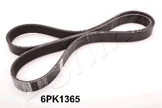 112-6PK1365 ASHIKA V-Ribbed Belts