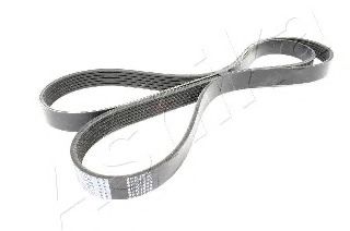 112-6PK1640 ASHIKA V-Ribbed Belts