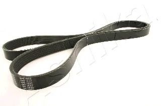 112-6PK1830 ASHIKA V-Ribbed Belts