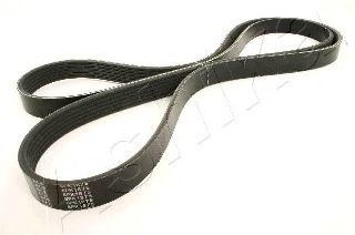 112-6PK1875 ASHIKA V-Ribbed Belts