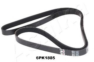 112-6PK1885 ASHIKA V-Ribbed Belts