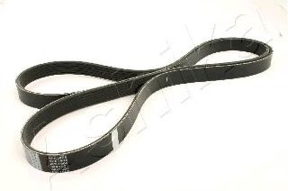 112-6PK1905 ASHIKA V-Ribbed Belts