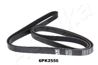 112-6PK2556 ASHIKA V-Ribbed Belts
