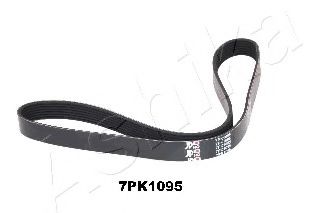 112-7PK1095 ASHIKA V-Ribbed Belts