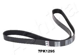 112-7PK1295 ASHIKA V-Ribbed Belts