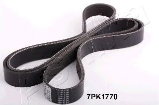 112-7PK1770 ASHIKA V-Ribbed Belts