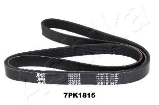 112-7PK1815 ASHIKA V-Ribbed Belts