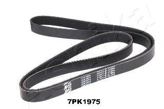 112-7PK1975 ASHIKA V-Ribbed Belts