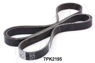 112-7PK2195 ASHIKA V-Ribbed Belts