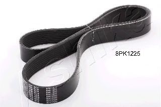 112-8PK1225 ASHIKA V-Ribbed Belts