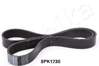 112-8PK1230 ASHIKA V-Ribbed Belts