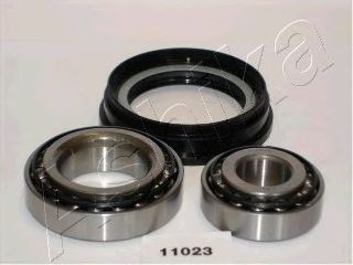 44-11023 ASHIKA Wheel Bearing Kit