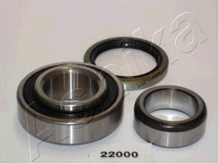 44-22000 ASHIKA Wheel Bearing Kit