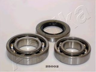 44-25002 ASHIKA Wheel Bearing Kit