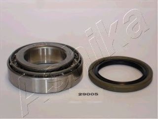 44-29005 ASHIKA Wheel Bearing Kit