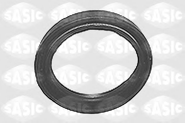 3453173 SASIC Shaft Seal, manual transmission